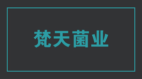 食品行業(yè)遵義沖鋒衣設(shè)計(jì)款式